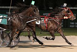 Bailey's Wish (inside) held off the late charge of longshot Rollette to win Sunday's $47,600 Violet Stake for 3-year-old trotting fillies. (David Baum photo)
